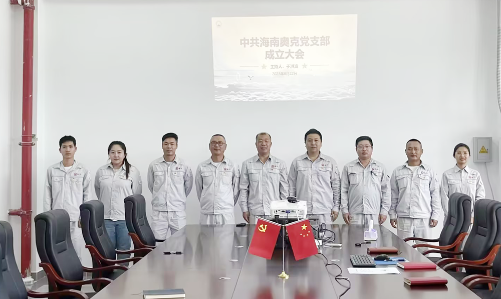 海南W66利来官网正式成立党支部.png 海南W66利来官网正式成立党支部.png
